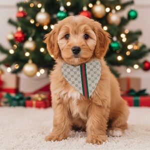 Fresh Pawz G-Pattern Dog Cooling Bandana - SZ Sm